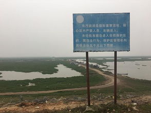 洞庭湖污染治理面臨嚴(yán)峻挑戰(zhàn) 中央環(huán)保督查下達(dá)緊急整改令